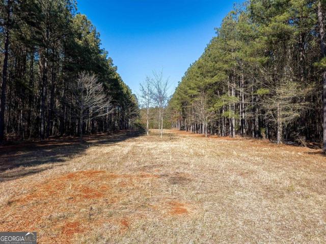 Land for sale in Tignall, Georgia