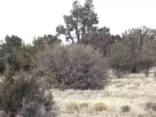 House for sale in Flagstaff