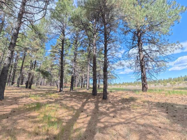 Land for sale in Parks, Arizona