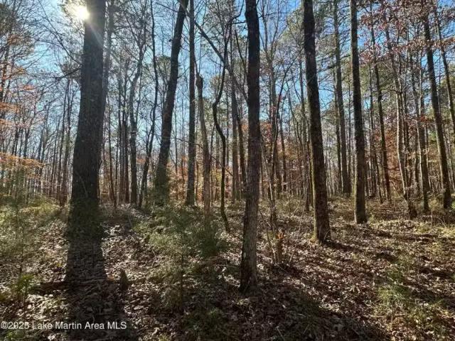 House for rent in Tallapoosa, Alabama