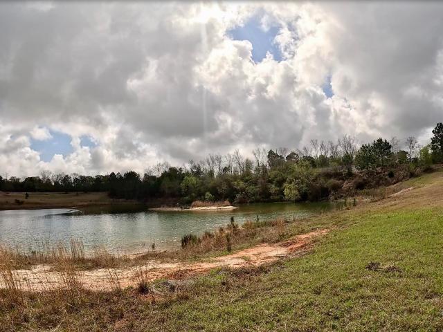 Land for sale in Elberta, Alabama