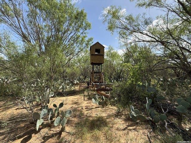 Land for sale in Moore, Texas
