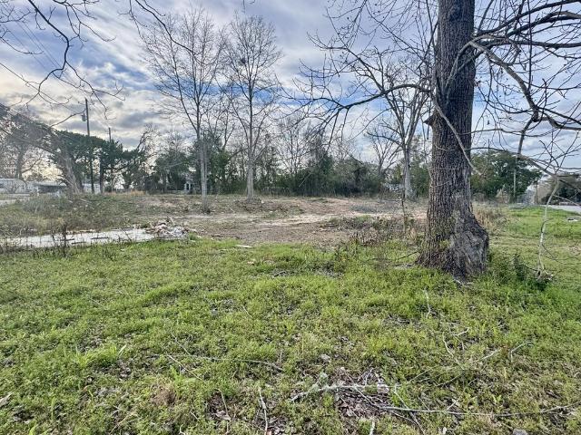 Land for sale in Cottonwood, Alabama