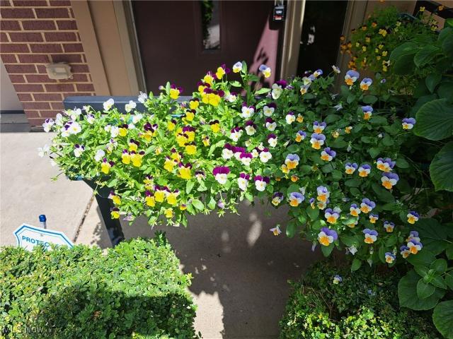 Condo for sale in Cleveland