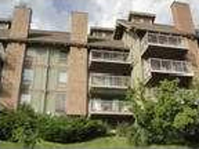 House for rent in Steamboat Springs, Routt County