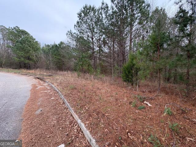 Land for sale in Jenkinsburg, Georgia