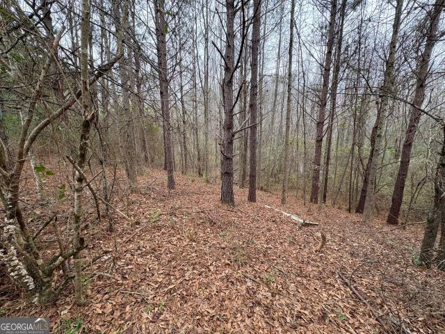 Land for sale in Henry County, Georgia
