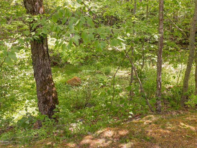 Land for sale in Highlands, Macon County