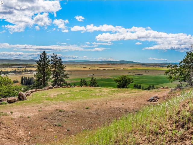 Land for sale in Goldendale, Washington