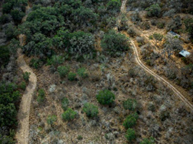 Land for sale in Bee, Texas