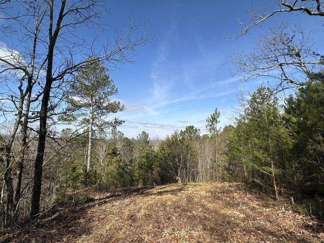 Land for sale in Old Fort, McDowell County