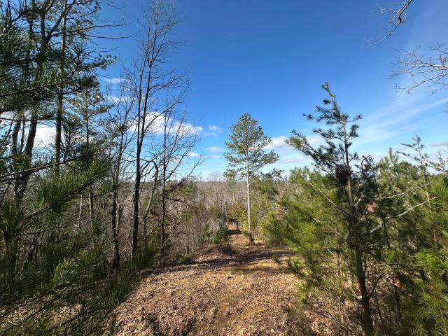 Land for sale in Tennessee