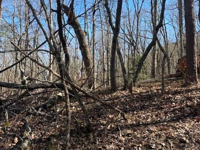 Land for sale in Georgia