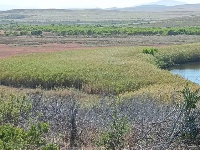Farm for sale in Western Cape