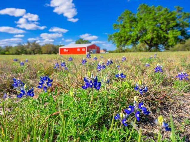 Farm for sale in Kerr, Texas