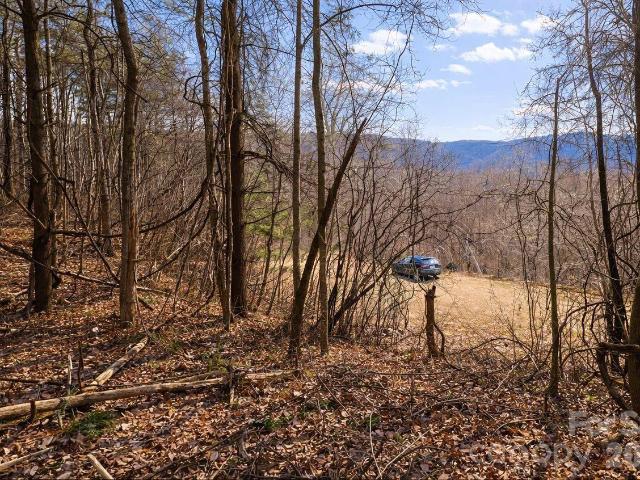 Land for sale in Waynesville, Haywood County