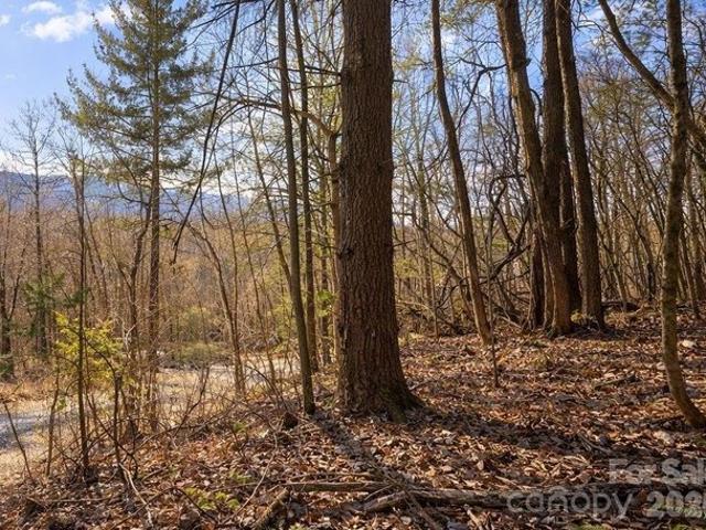 Land for sale in Haywood, North Carolina