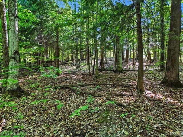 Land for sale in Custer, Michigan