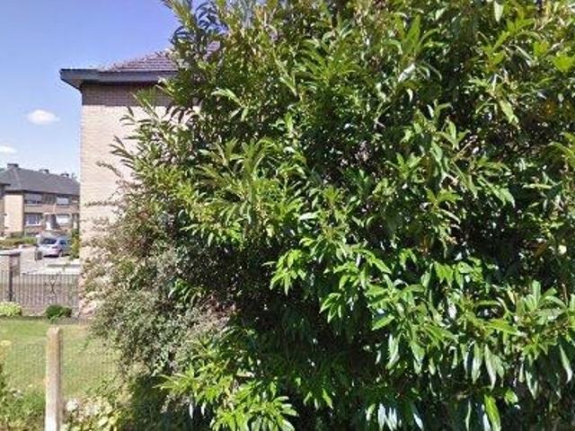 Appartement location à Diest, Brabant