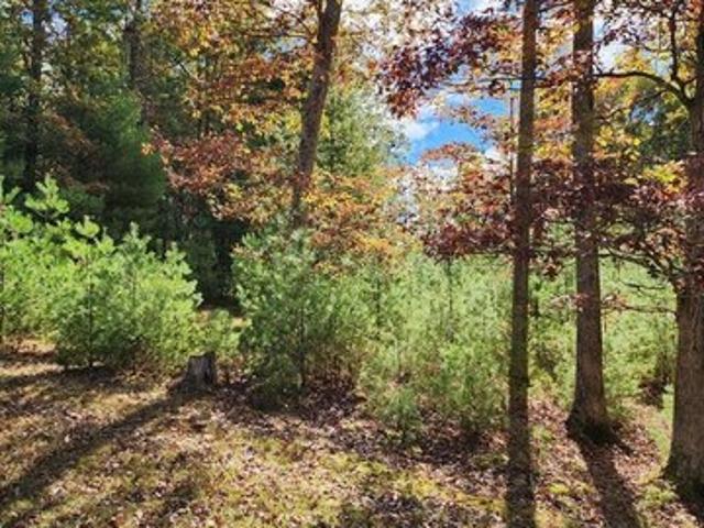 Land for sale in Daniels, West Virginia