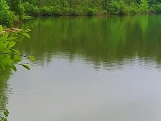 Land for sale in Elmore, Alabama