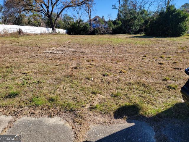 Land for sale in Midville, Georgia