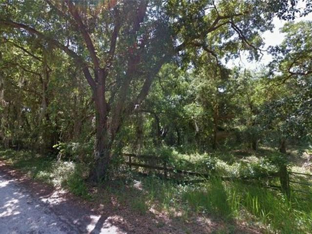 Land for sale in Zolfo Springs, Florida
