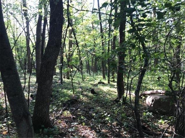 Land for sale in Glenwood, Pope County