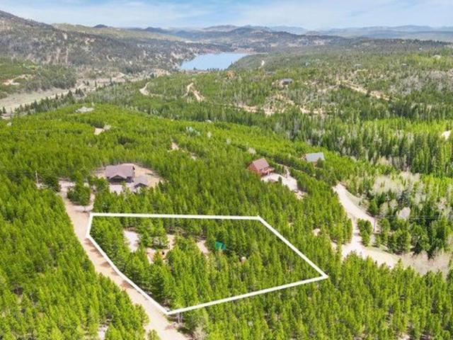 Land for sale in Red Feather Lakes, Colorado