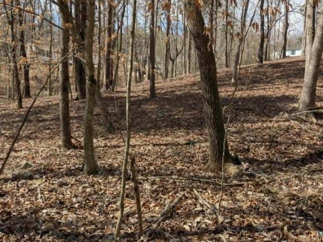 Land for sale in Tennessee