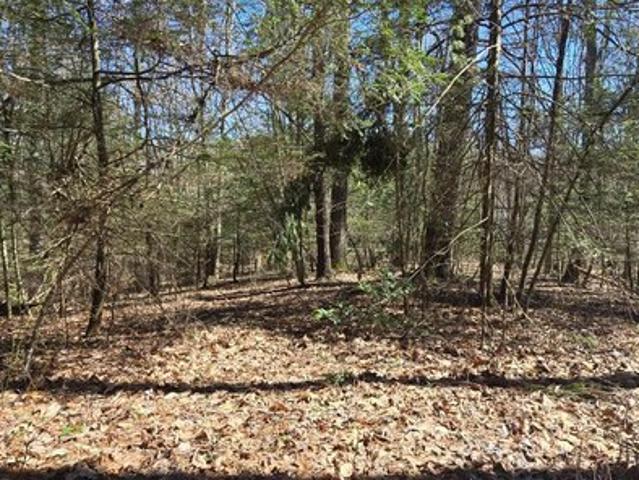House for sale in Daniels, West Virginia