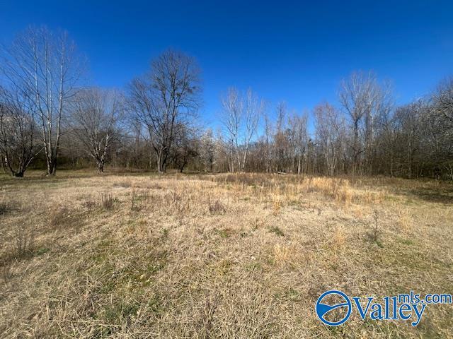 Land for sale in Alabama
