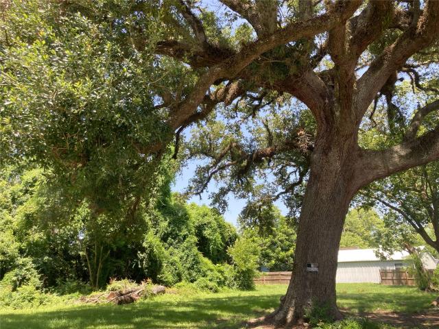Land for sale in West Columbia, Texas