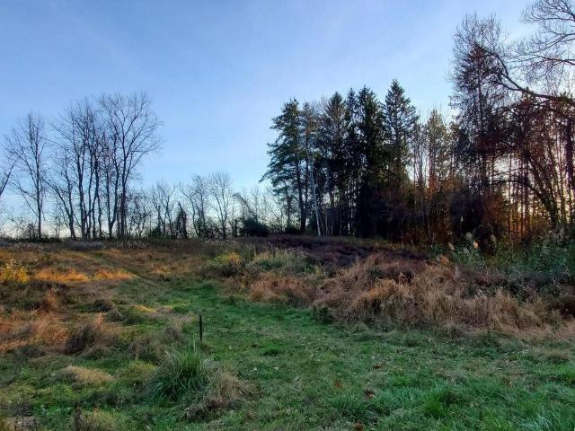 Land for sale in Westmere, Town of Guilderland