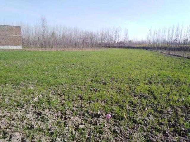 Land for sale in North Waziristan, Federally Administered Tribal Areas fata