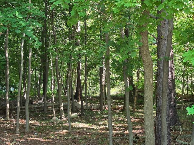 Land for sale in Ipswich, Massachusetts