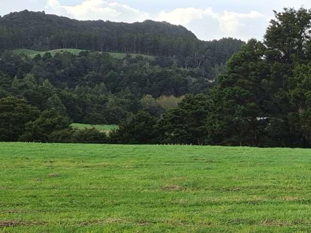 Property for sale in Maungaturoto, Northland