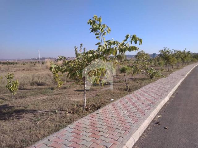 Property for sale in North Waziristan, Federally Administered Tribal Areas fata