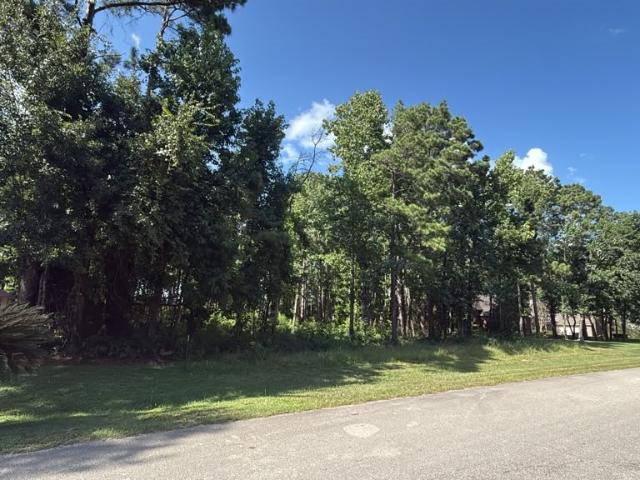 Land for sale in Magnolia, Texas