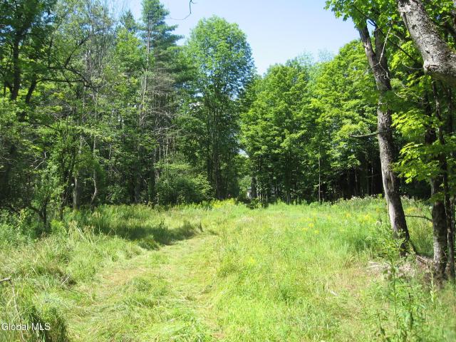 Land for sale in Adirondack, New York
