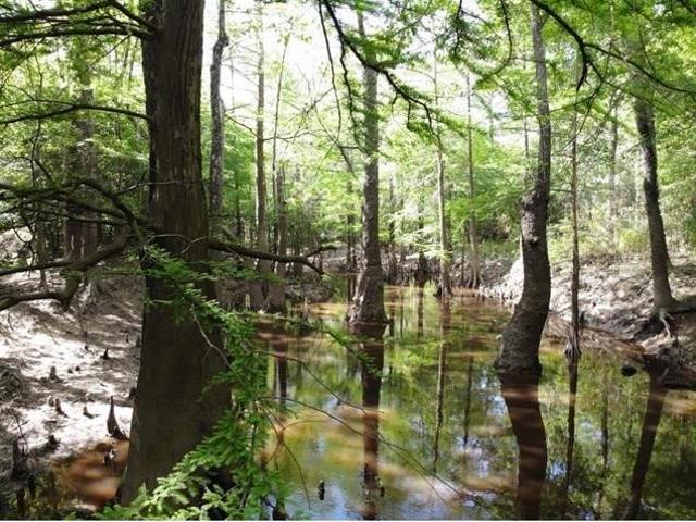 House for sale in Lumberton, Texas