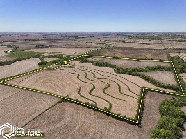Farm for sale in Randolph, Iowa
