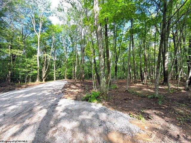 Land for sale in Bruceton Mills, West Virginia