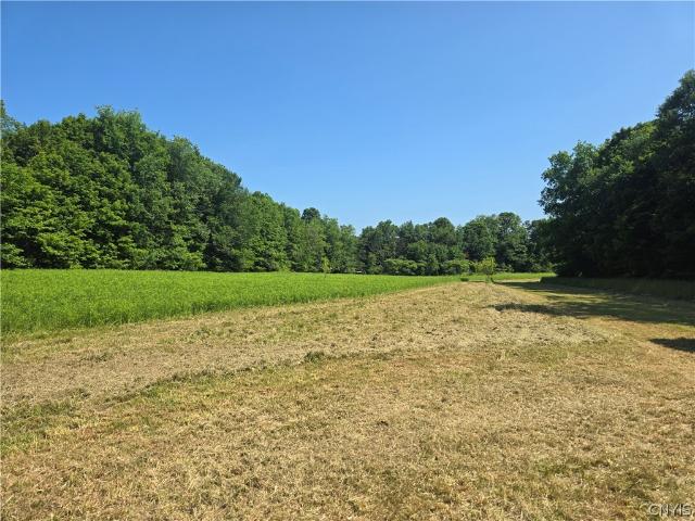 Land for sale in Williamstown, New York