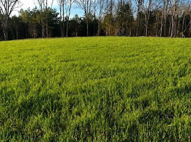 Farm for sale in Tennessee