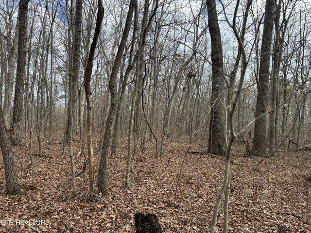 Farm for sale in Tennessee