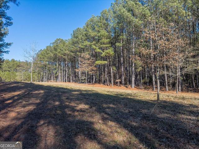 Land for sale in Tignall, Georgia