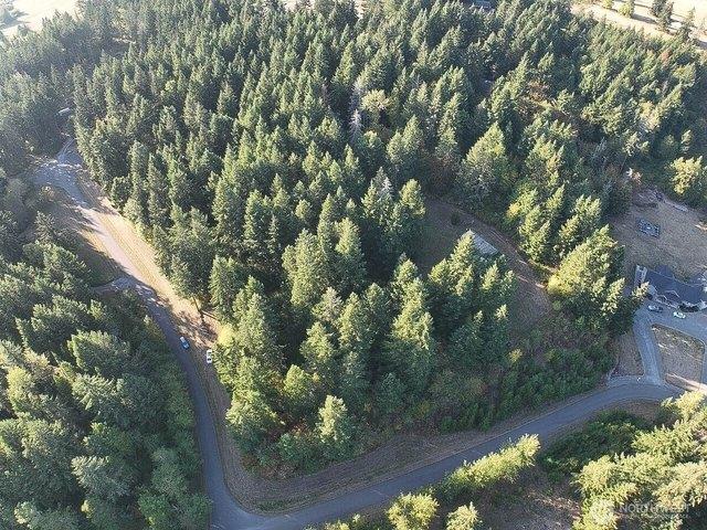 Land for sale in Yelm, Thurston County
