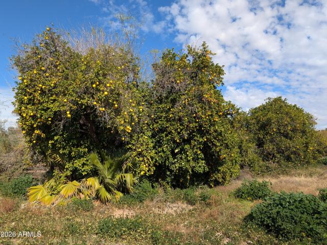 Land for sale in Chandler, Arizona