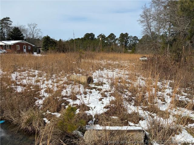 Land for sale in Bladenboro, North Carolina